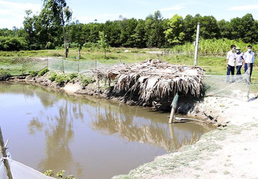 Về quê tránh dịch, bé trai 3 tuổi rơi xuống ao cá tử vong